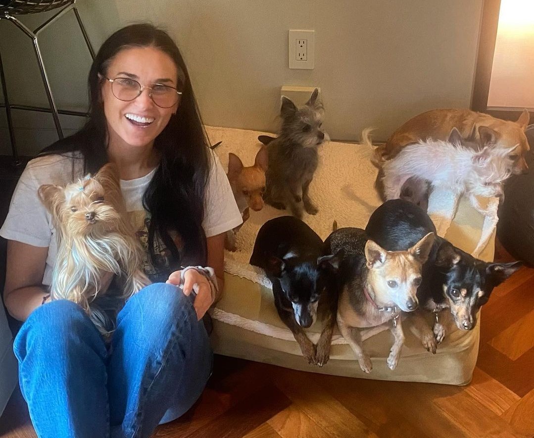 Demi Moore no último registro com os nove cães (Foto: Reprodução/Instagram)