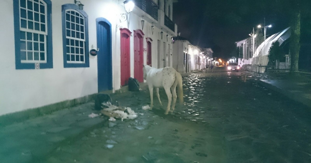 De cavalos comendo lixo na rua a esgoto estourado: moradores de Olinda  convivem com descaso