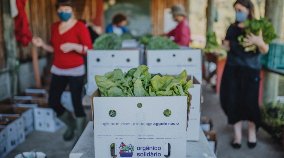 Cestas doadas pela iniciativa Orgânico Solidário podem alimentar uma família por uma semana (Foto: Rafael Vicente)