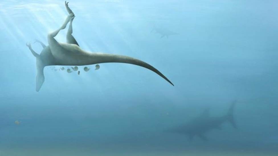 Novo dinossauro 'primo' do Tiranossauro Rex é descoberto em ilha britânica thumbnail