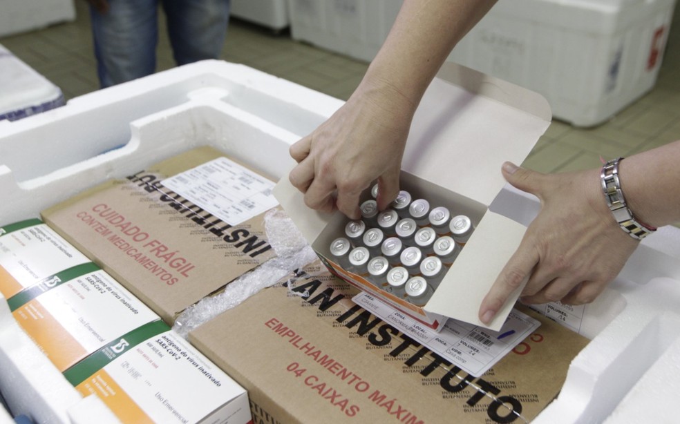 Mais de 50 mil doses da vacina Coronavac chegam na Bahia — Foto: Mateus Pereira/GOVBA