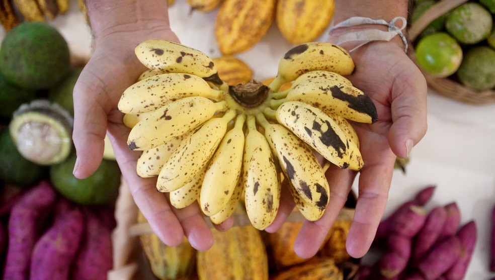 Feira de alimentos orgânicos em Duque de Caxias, no Rio de Janeiro — Foto: Divulgação