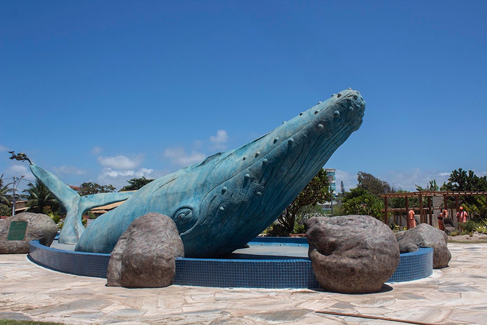 A Prefeitura revitalizou a Praça da Baleia.  — Foto: Ascomti – Allexandre Costa