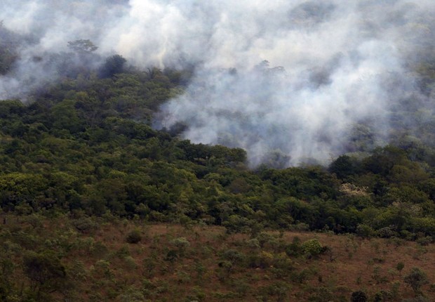 queimada, amazonia, meio ambiente, floresta, desmatamento (Foto: Valter Campanato/Agência Brasil)