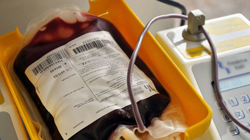 Sangue é um dos produtos que a empresa exporta — Foto: Kleide Teixeira/Secom-PB/Divulgação