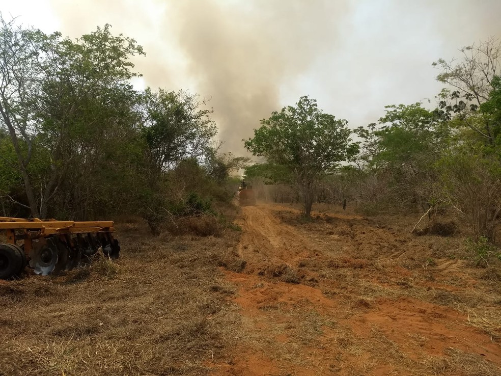 Incêndio atingiu o Parque Estadual do Rio do Peixe, em Ouro Verde (SP) — Foto: Polícia Militar Ambiental