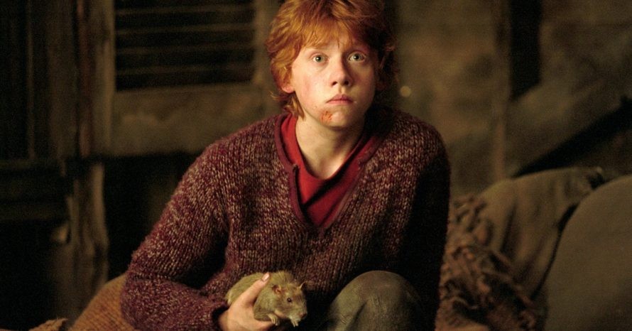 Rupert Grint como Ron Weasley na saga Harry Potter (Foto: Divulgação)