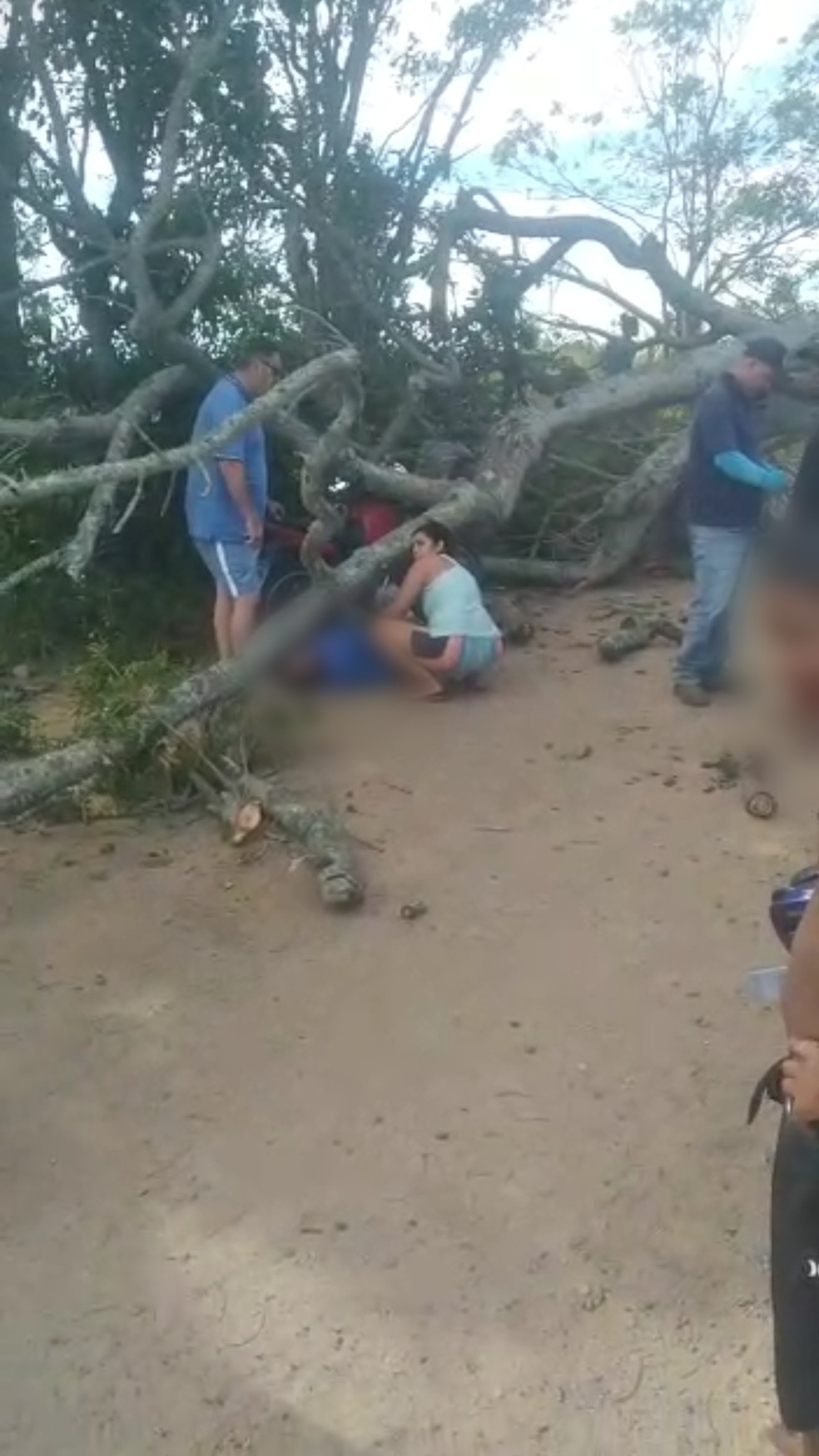 Árvore caiu em cima de homem de moto em São Francisco de Itabapoana, RJ; vítima de 61 anos morreu — Foto: Cedida por São Francisco 24h