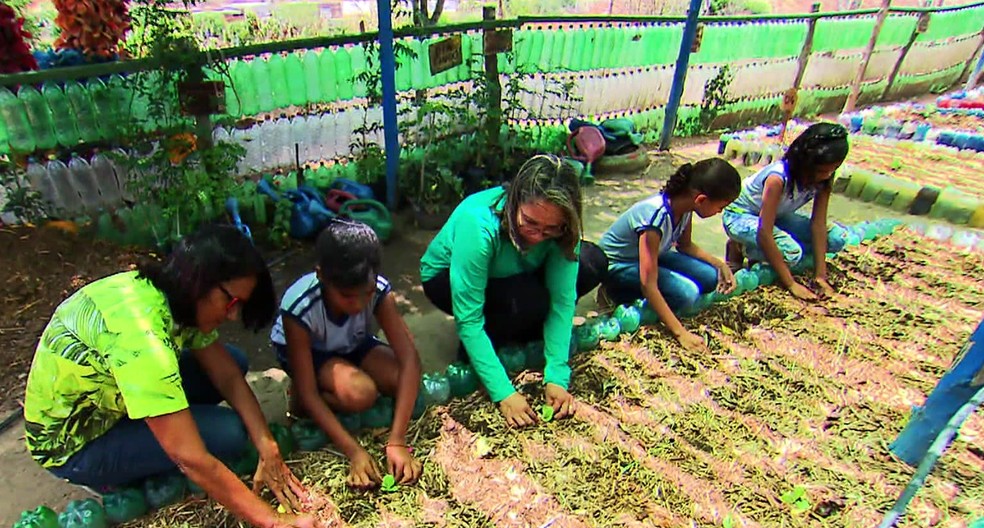 Em Limoeiro, no Agreste de Pernambuco, estudantes fazem plantio de árvores em pátio de escola — Foto: Reprodução/TV Globo