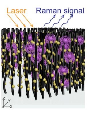 BBC - Modelo da 'floresta de nanotubos' na qual Terrones e seus colaboradores querem encurralar os vírus (Foto: PENN STATE UNIVERSITY via BBC)