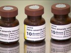 Brasil vai fracionar vacina contra febre amarela pela primeira vez