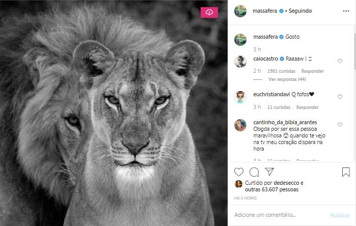 Caio Castro deixa rugido nos comentários de foto de Grazi Massafera (Foto: Reprodução/Instagram)
