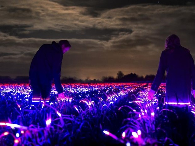 Artista holandês cria iluminação tecnológica para campos de agricultura (Foto: YouTube)