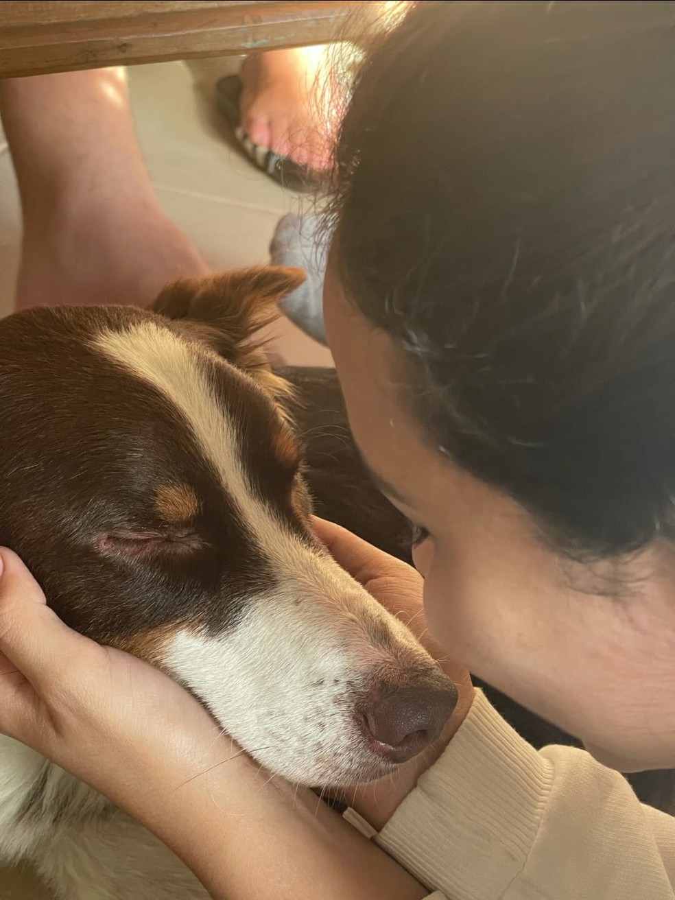 Família se emocionou ao encontrar o animal após dias de buscas, em Guarujá, SP. — Foto: Arquivo Pessoal