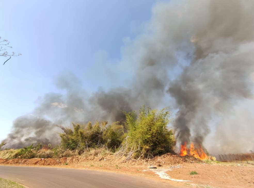 Fogo em vegetação também atingiu área vizinha ao Aeroporto Estadual de Presidente Prudente — Foto: Murilo Zara/TV Fronteira