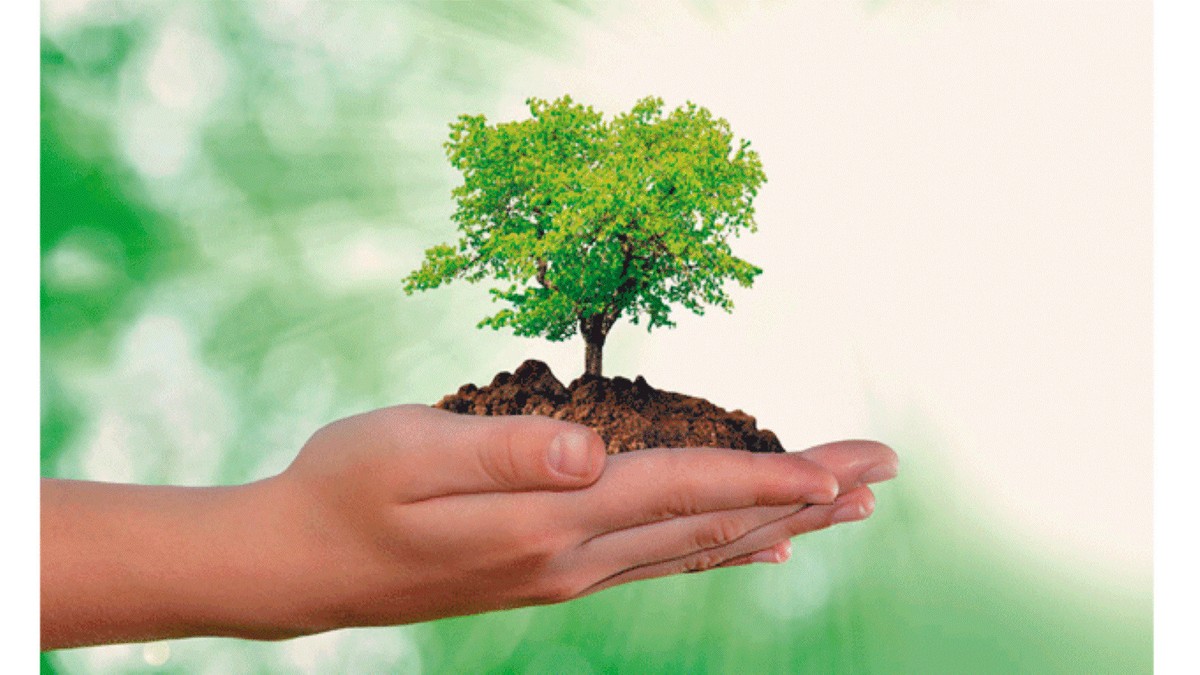 Secretaria de Meio Ambiente de Serra