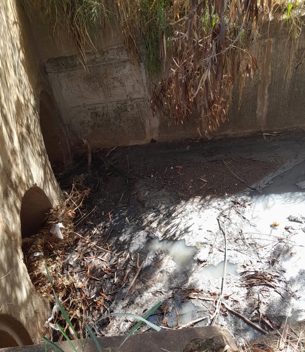 Moradores reclamam de esgoto a céu aberto em parque ecológico de Presidente Prudente (SP). — Foto: Cedida