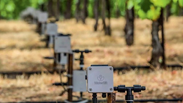 A americana WaterBit criou um sistema de irrigação capaz de ler o solo para dispensar apenas a água necessária (Foto:  Divulgação)
