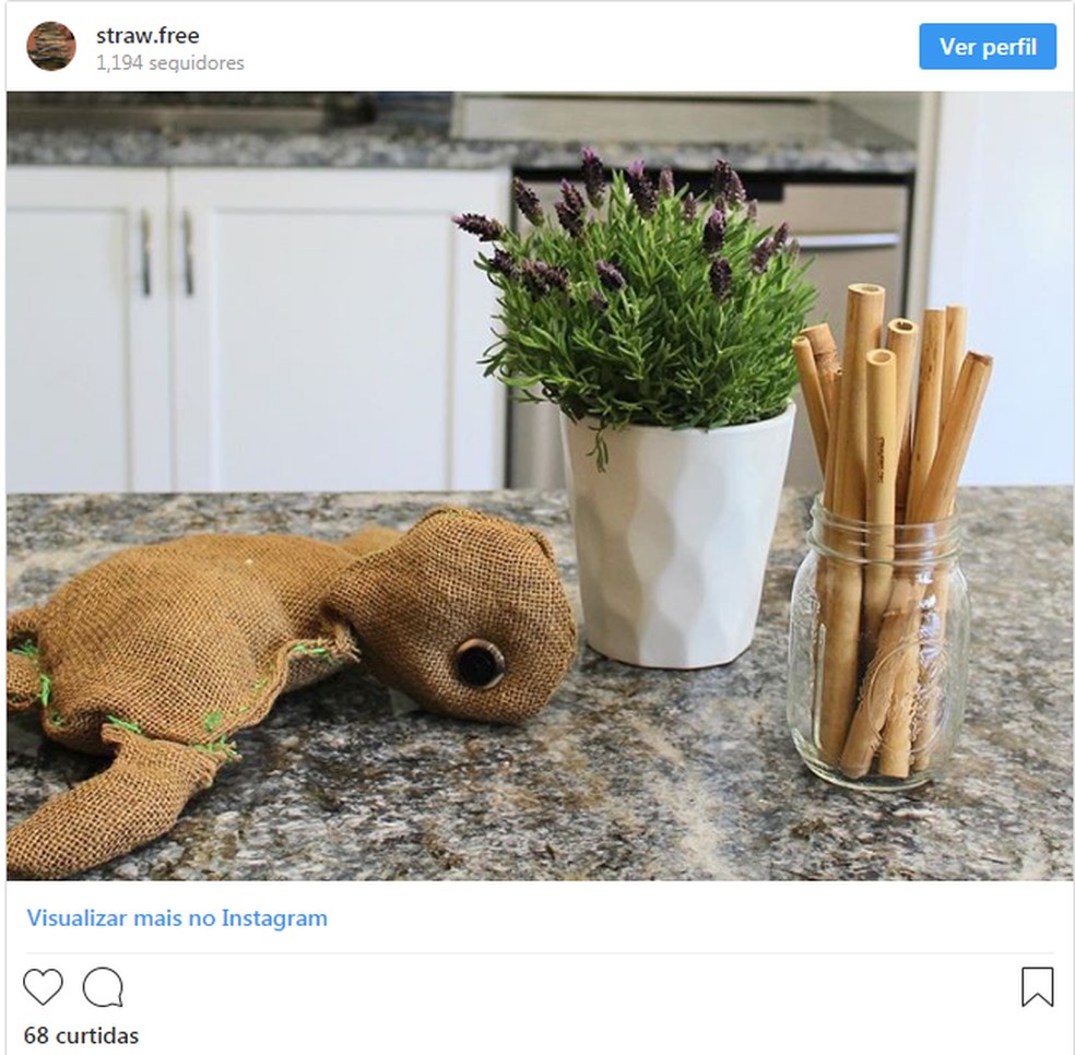 Canudos de bambu são opção ao uso dos descartáveis de plástico — Foto: Straw Free/Reprodução