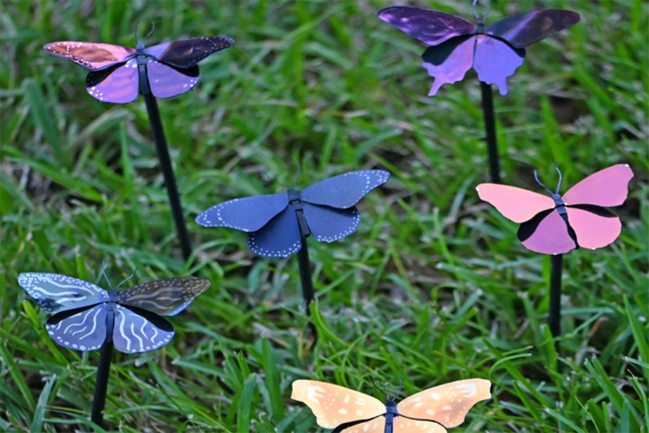 Inspirada em borboletas, tinta que economiza energia é criada nos EUA