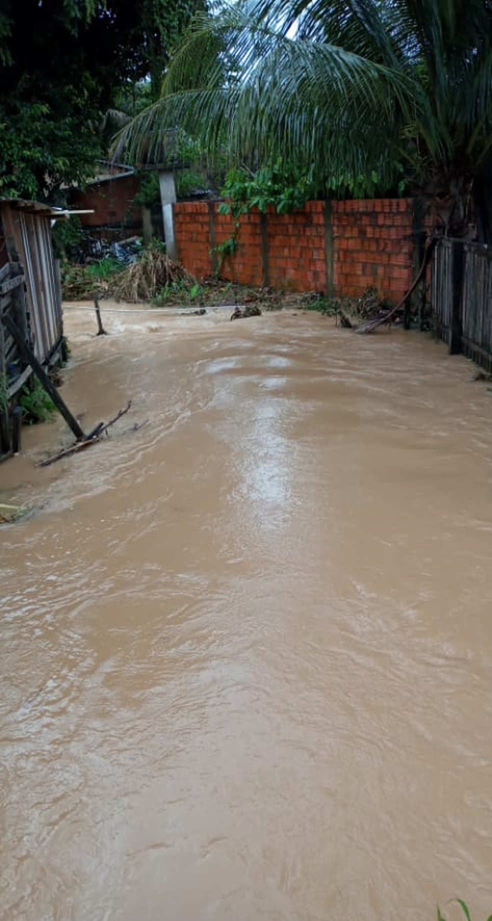 Moradores do bairro Plácido de Castro tiveram casas e ruas alagadas — Foto: Maria da Silva/arquivo pessoal