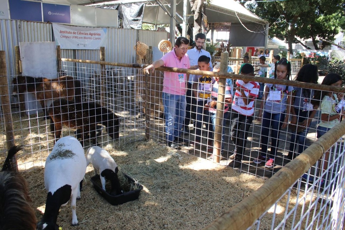 Expomontes: Abertas as inscrições para a Minifazenda Dr. Zoo