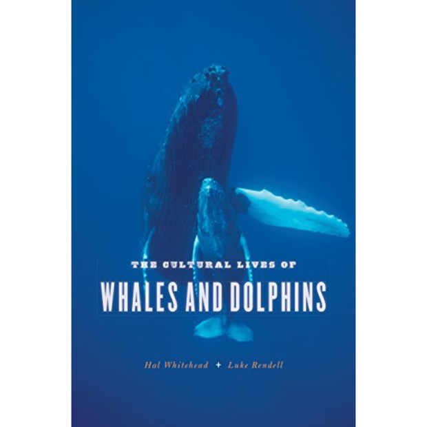 The Cultural Lives of Whales and Dolphins (Foto: Amazon / Divulgação)