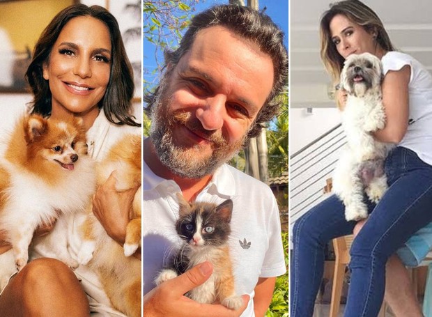 Ivete Sangalo, Rodrigo Lombardi e Tata Werneck são apaixonados por animais (Foto: Instagram/@ivetesangalo @rodrigolombardi @tatawerneck/Reprodução)