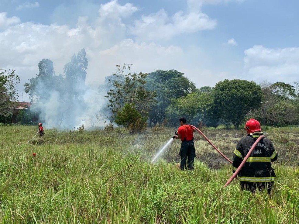 Corpo de Bombeiros controlou o fogo, que atingiu principalmente o malto alto do cemitério público. — Foto: Felipe Neves / Ascom Adic