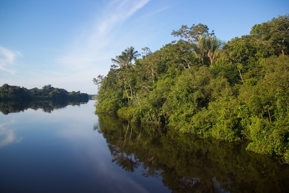 SÃ­tios arqueolÃ³gicos foram descobertos ao longo das calhas dos rios JutaÃ­ (foto) e SolimÃµes, no Amazonas â Foto: Amanda Lelis/Instituto MamirauÃ¡