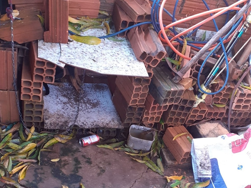 Casal é multado em R$ 6 mil por maus-tratos a dois cães em Teodoro Sampaio (SP) — Foto: Polícia Ambiental