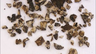 Visão geral dos fragmentos cranianos e mandibulares recuperados  — Foto: Projeto de Pesquisa Arqueológica de Sagalassos 