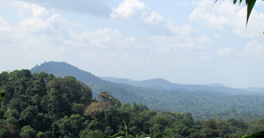 O Fundo Amazônia tem como objetivo a captação de recursos para investimentos em prevenção, monitoramento, conservação e combate ao desmatamento