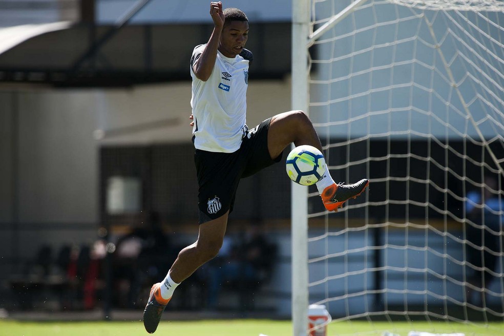 David Braz irÃ¡ para o GrÃªmio no negÃ³cio â€” Foto: Ivan Storti/Santos FC