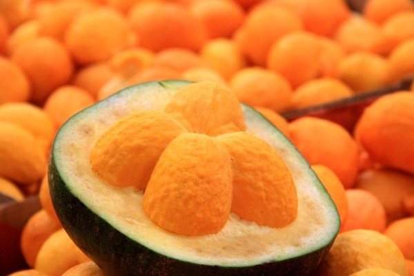 Fruto Tipico Do Cerrado Pequi Pode Ajudar A Prevenir Diabetes Reduzir Colesterol E Combater Obesidade Aponta Pesquisa Grande Minas G1