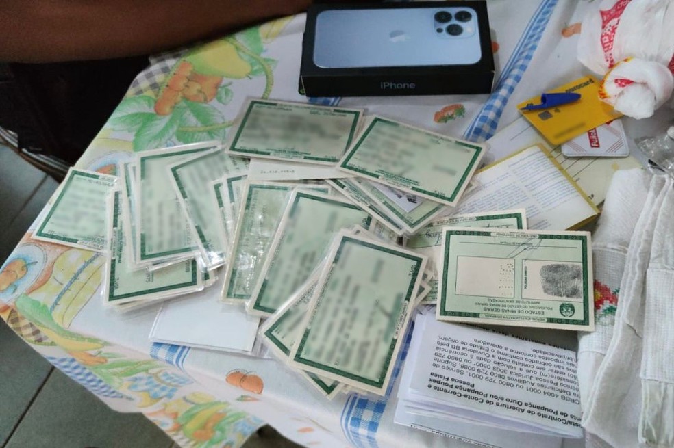 Documentos falsos foram apreendidos pela Polícia Federal — Foto: Polícia Federal/Divulgação
