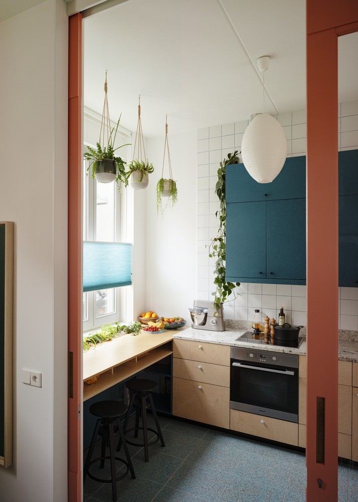 Décor do dia: cozinha com plantas e armários coloridos (Foto: Divulgação)