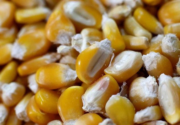 Grãos de milho são vistos em feira na Cidade do México ; safra ; colheita ; grãos ; agronegócio ;  (Foto: Henry Romero/Reuters)