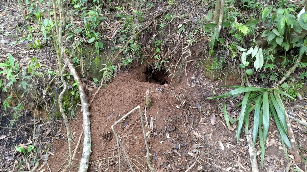 Pais confessaram ter enterrado o bebê em uma pedreira em Itaperuçu (Foto: Augusto Klein/RPC Curitiba)