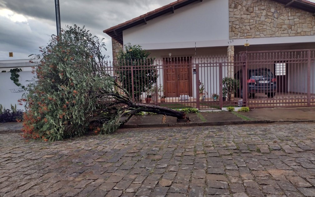 Chuva deixa estragos pelo segundo dia consecutivo em Santa Rita do Sapucaí — Foto: Defesa Civil