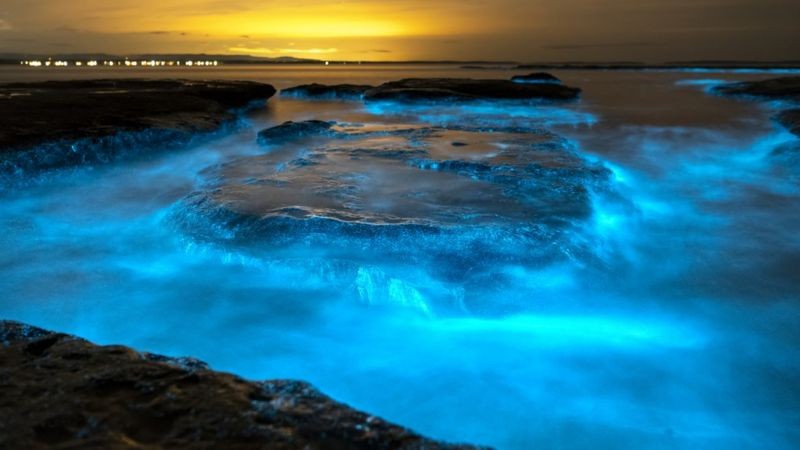 Bioluminescência no mar (Foto: Getty Images via BBC News)