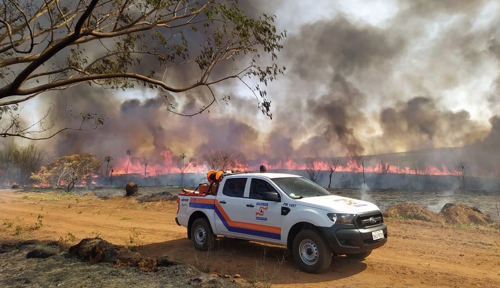 Queimada atingiu área do antigo Instituto Penal Agrícola em Rio Preto — Foto: Arquivo Pessoal 