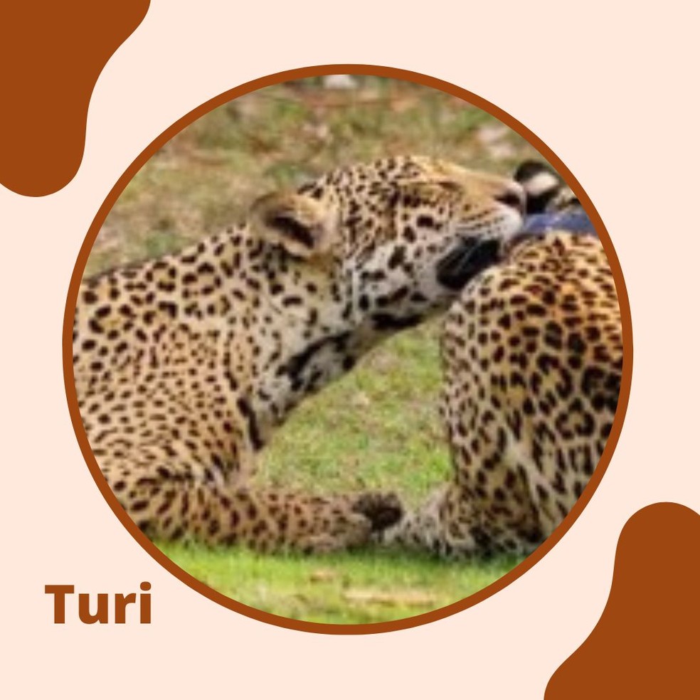 Turi já foi avistada em momento de descontração com a mãe. — Foto: Reprodução/FabioPaschoal