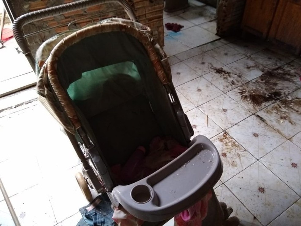 Seis crianças foram resgatadas. — Foto: PMMT