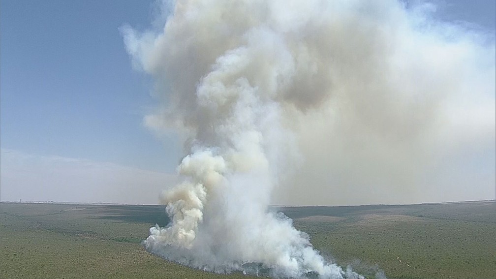 Incêndio no Parque Nacional de Brasília, nesta segunda-feira (5) — Foto: TV Globo/Reprodução