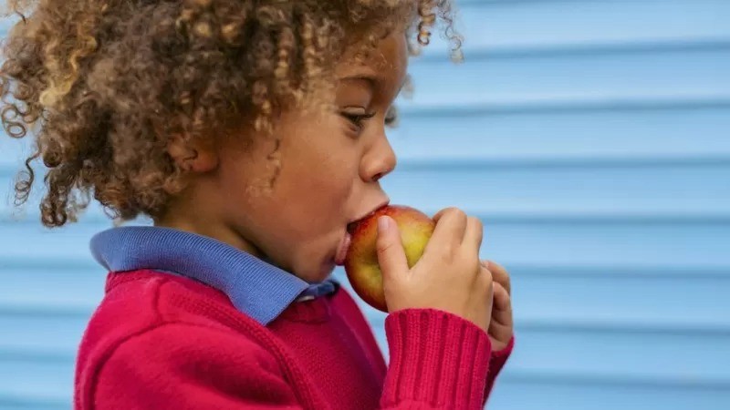 O tipo de fruta a ser oferecido para as crianças deverá respeitar as características regionais, custo, estação do ano e a presença de fibras (Foto: Getty Images via BBC News Brasil )