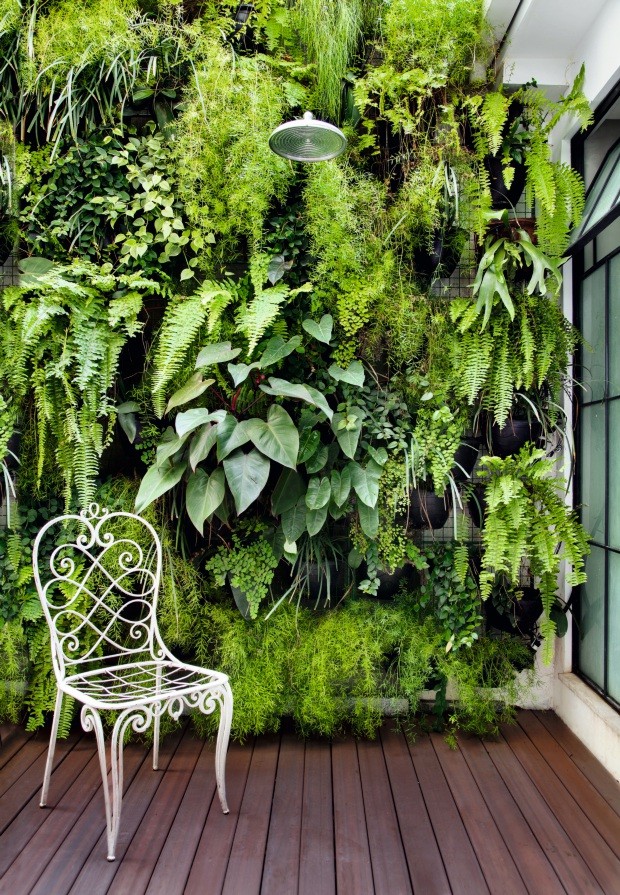 7 jardins verticais para se inspirar - Casa e Jardim | Paisagismo