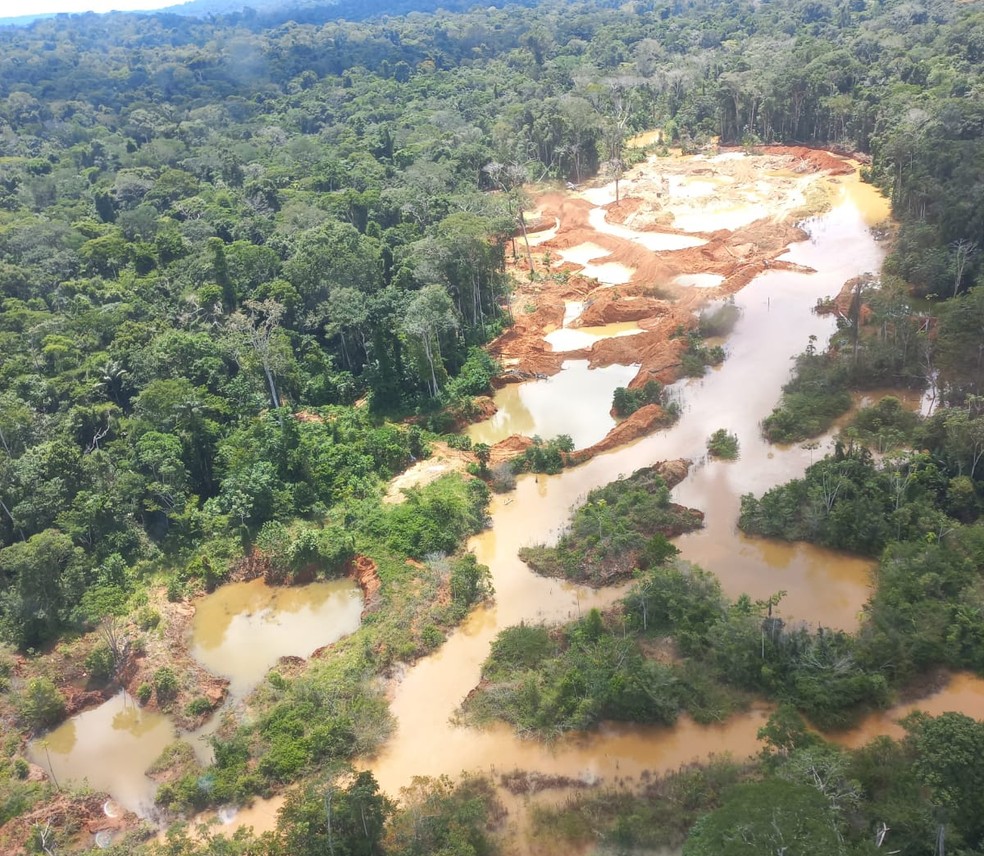 Garimpos ilegais foram descobertos pela PF em terras indígenas de MT — Foto: Polícia Federal