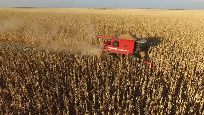 agricultura-colheita-milho-goias (Foto: Marcos Camargo)