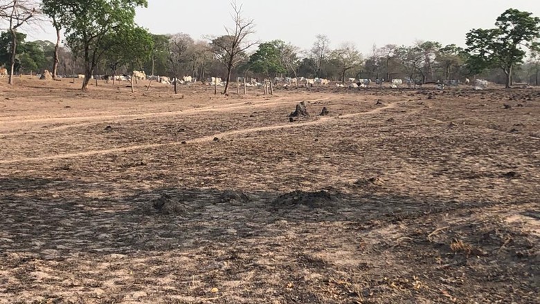 Imagem da fazenda São Francisco da Baía das Pedras, no Pantanal, após queimadas em 2020 (Foto: Francisco Campos/Acervo pessoal)